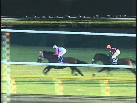 【1996年天皇賞（秋）】3強を抑え4歳馬バブルガムフェローが戴冠